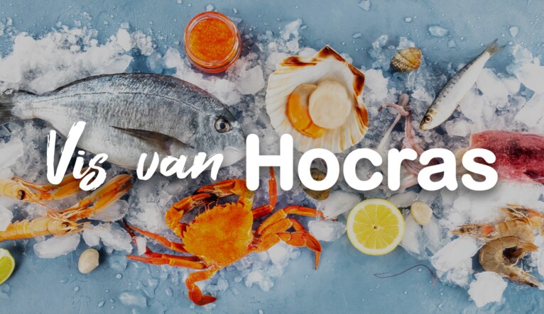 Vis van Hocras